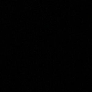 Meet your Posher, Gavin